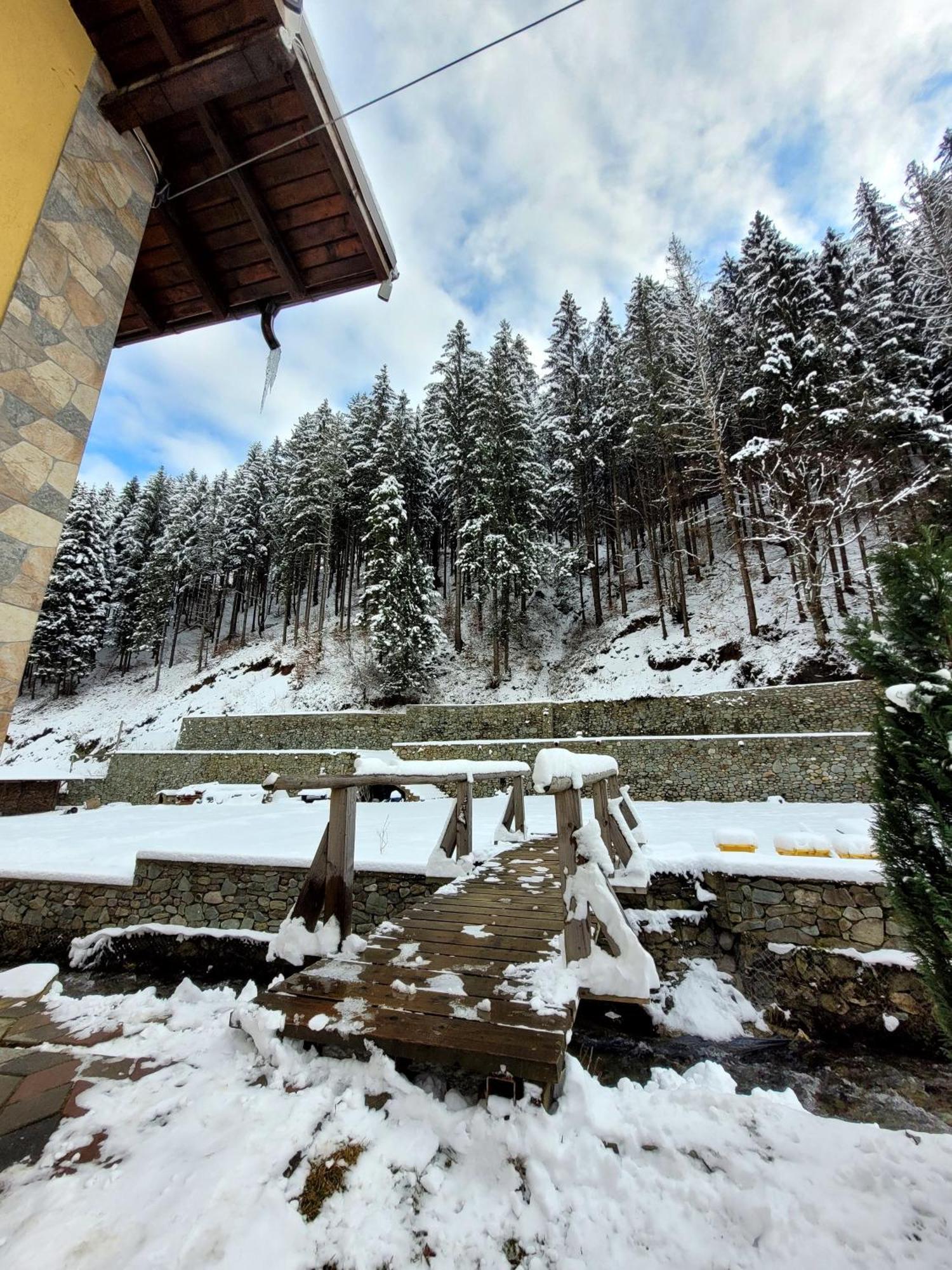 Casa Maryon Vila Rucăr Exterior foto